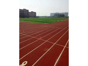 山东昌乐县**中学400米标准跑道