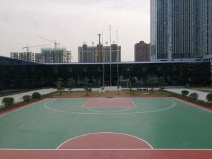 冯庄乡职王村小学校硅pu篮球 场羽毛球场完工